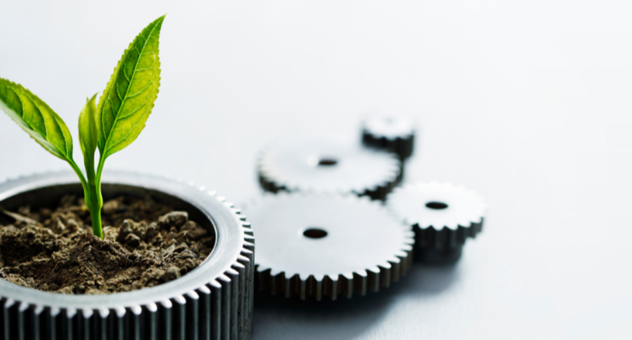ESG Environmental social and governance