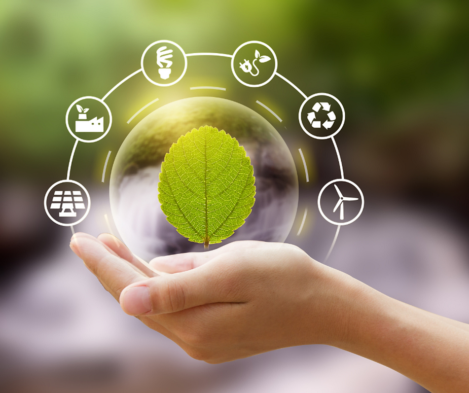 Sustainability